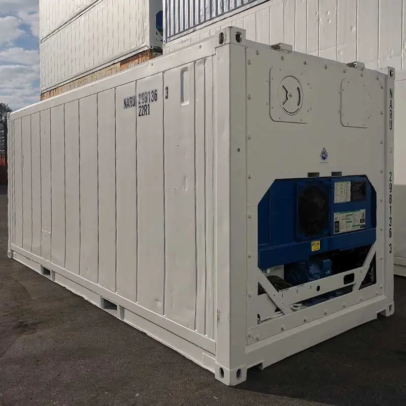 NARU 298136-3 20-Fuß-Kühlcontainer